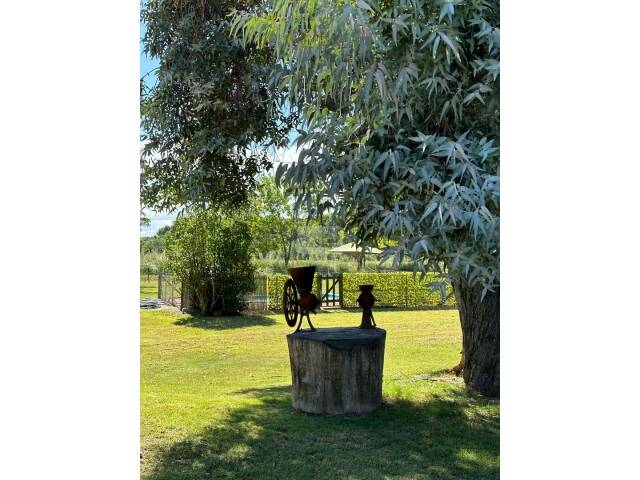 Parque