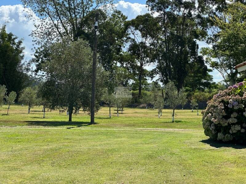 Jardín